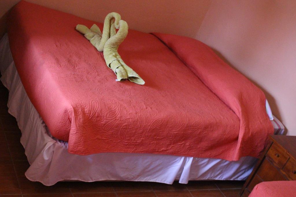 Hostal Tuyasto سان بيدرو دي أتاكاما المظهر الخارجي الصورة